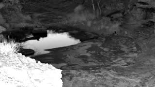 Still 1 from this detection