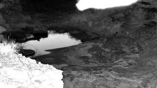 Still 2 from this detection