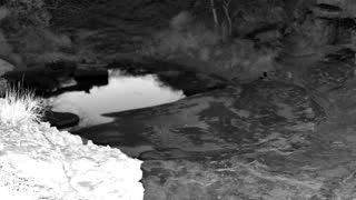 Still 3 from this detection