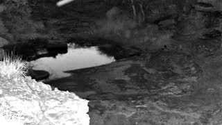 Still 1 from this detection