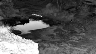 Still 2 from this detection