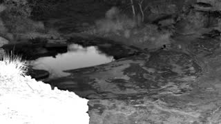 Still 1 from this detection