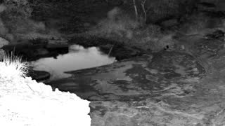 Still 2 from this detection