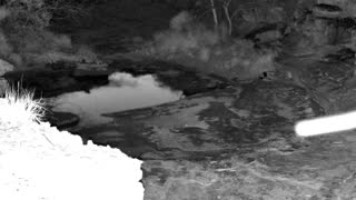 Still 1 from this detection