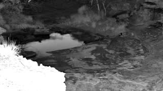 Still 2 from this detection