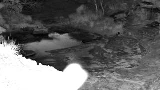 Still 1 from this detection