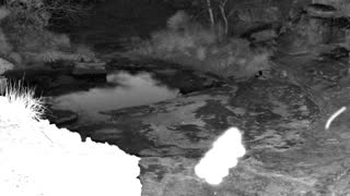 Still 1 from this detection