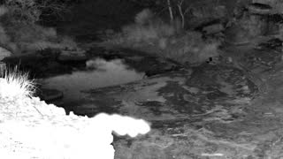 Still 2 from this detection