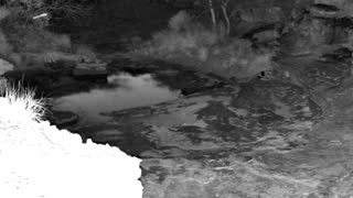 Still 1 from this detection