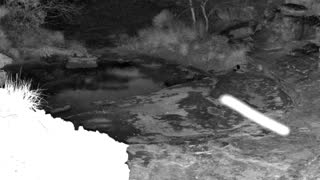 Still 2 from this detection