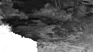 Still 3 from this detection