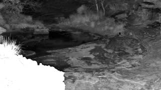 Still 3 from this detection