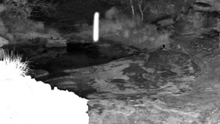 Still 3 from this detection