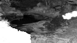 Still 1 from this detection