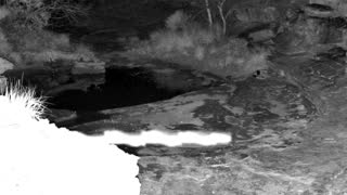 Still 2 from this detection
