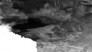 Still 2 from this detection