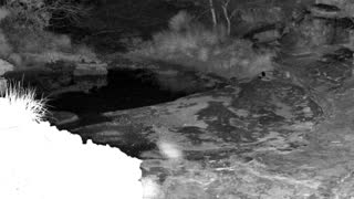 Still 2 from this detection