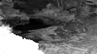 Still 1 from this detection