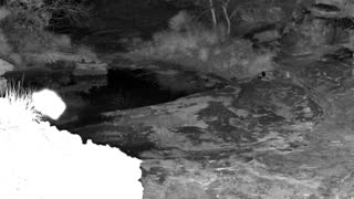 Still 2 from this detection