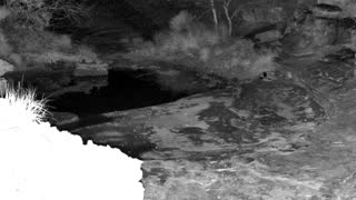 Still 1 from this detection