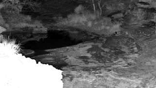 Still 2 from this detection