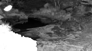 Still 1 from this detection