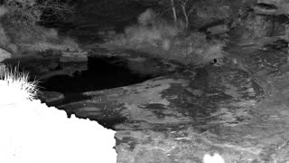 Still 1 from this detection