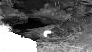 Still 1 from this detection