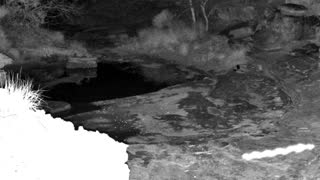 Still 2 from this detection