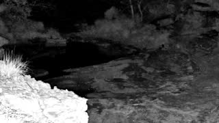 Still 2 from this detection