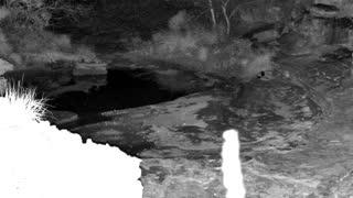 Still 1 from this detection