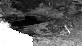 Still 1 from this detection