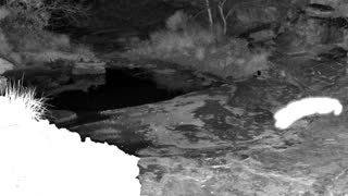 Still 2 from this detection