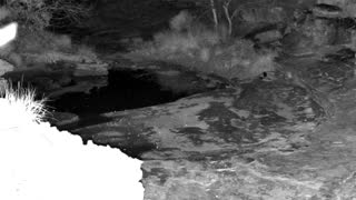 Still 1 from this detection
