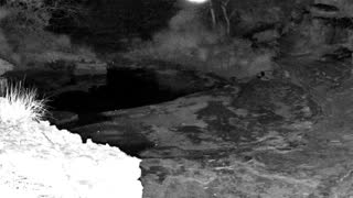 Still 1 from this detection