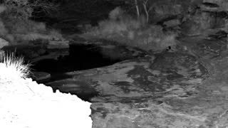 Still 3 from this detection