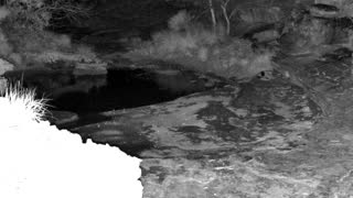 Still 2 from this detection