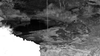 Still 2 from this detection