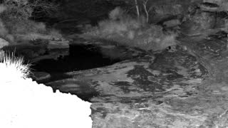 Still 1 from this detection