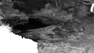 Still 3 from this detection