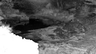 Still 2 from this detection