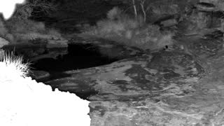Still 2 from this detection