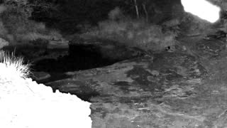Still 1 from this detection