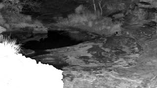 Still 1 from this detection