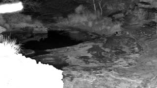 Still 1 from this detection