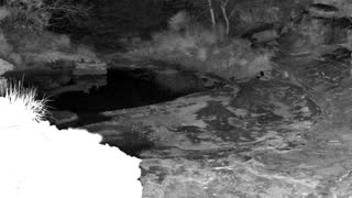 Still 2 from this detection