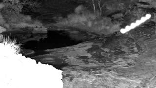 Still 2 from this detection