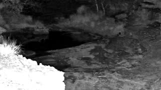 Still 2 from this detection