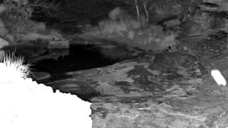 Still 1 from this detection