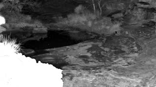 Still 2 from this detection